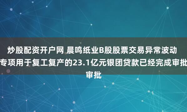 炒股配资开户网 晨鸣纸业B股股票交易异常波动 专项用于复工复产的23.1亿元银团贷款已经完成审批